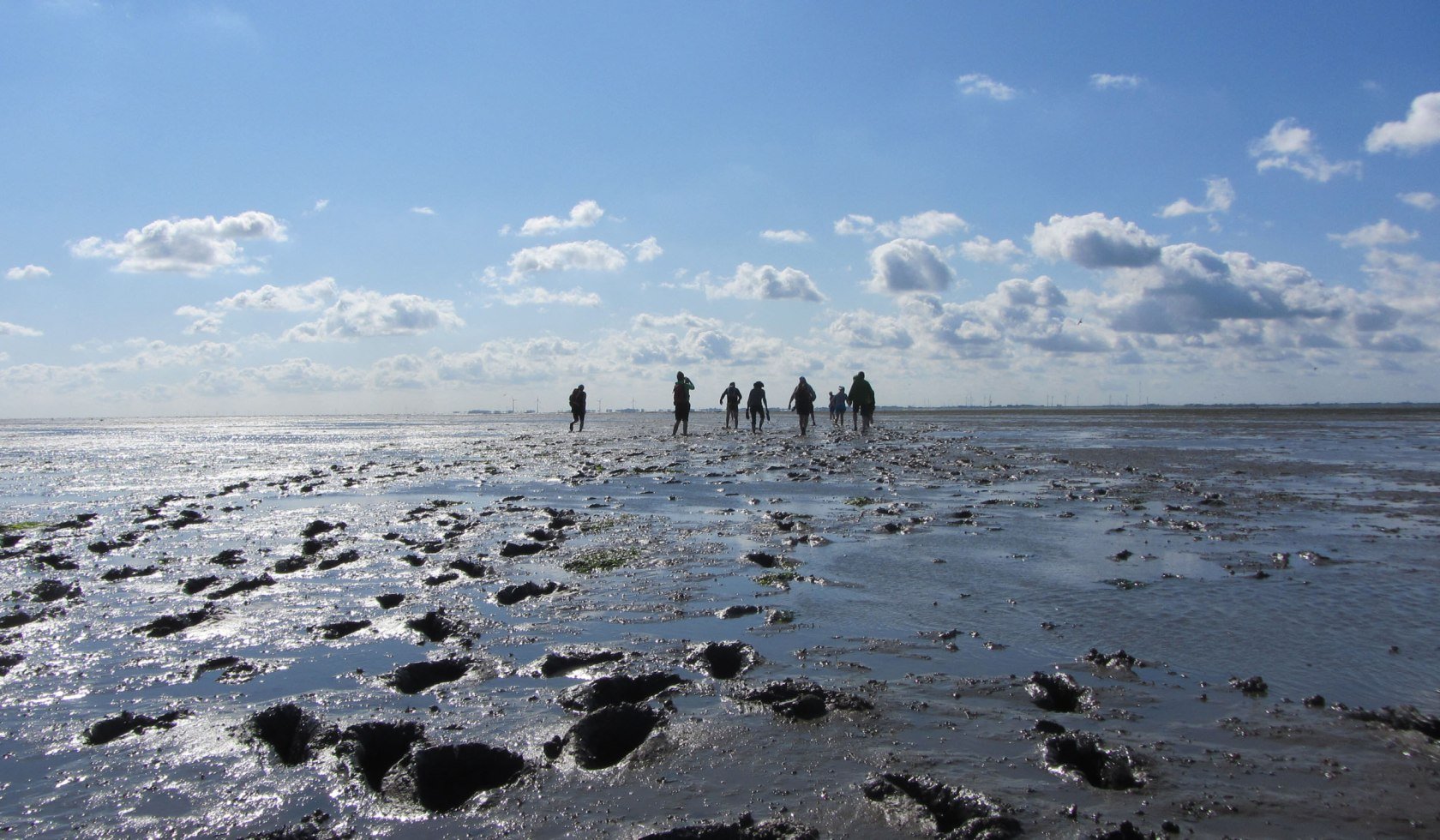 Wadden Sea, © Naturerlebnis Langeoog / Joke Pouliart