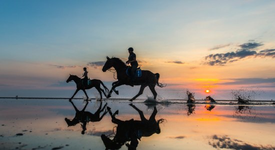 Horse riding in Cuxhaven, © Nordseeheilbad Cuxhaven GmbH