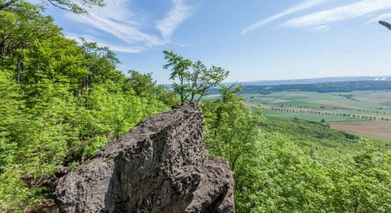 Ausblick Ith Hils Weg, © Tourismuszentrale östliches Weserbergland