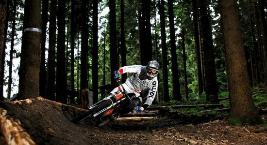 Downhill rider on the track at Racepark Schulenburg, © Racepark Schulenburg / Julian Terpe Downhill rider on the track at Racepark Schulenburg, © Racepark Schulenburg / Julian Terpe