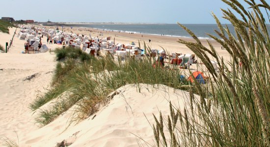 Dünen und Strand auf der Ostfriesischen Insel Baltrum, © Kurverwaltung Baltrum / Denis Metz