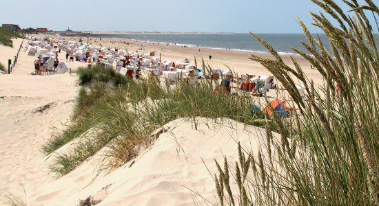 Dünen und Strand auf der Ostfriesischen Insel Baltrum, © Kurverwaltung Baltrum / Denis Metz