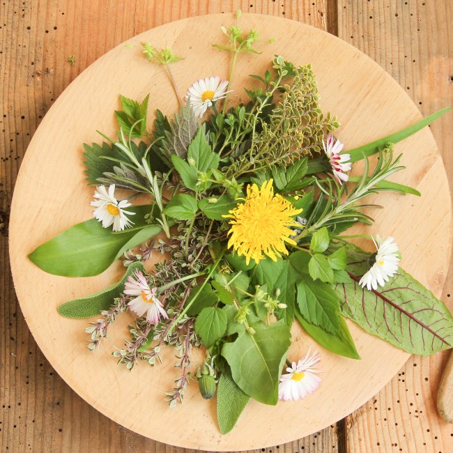plate with herbs, © AdobeStock