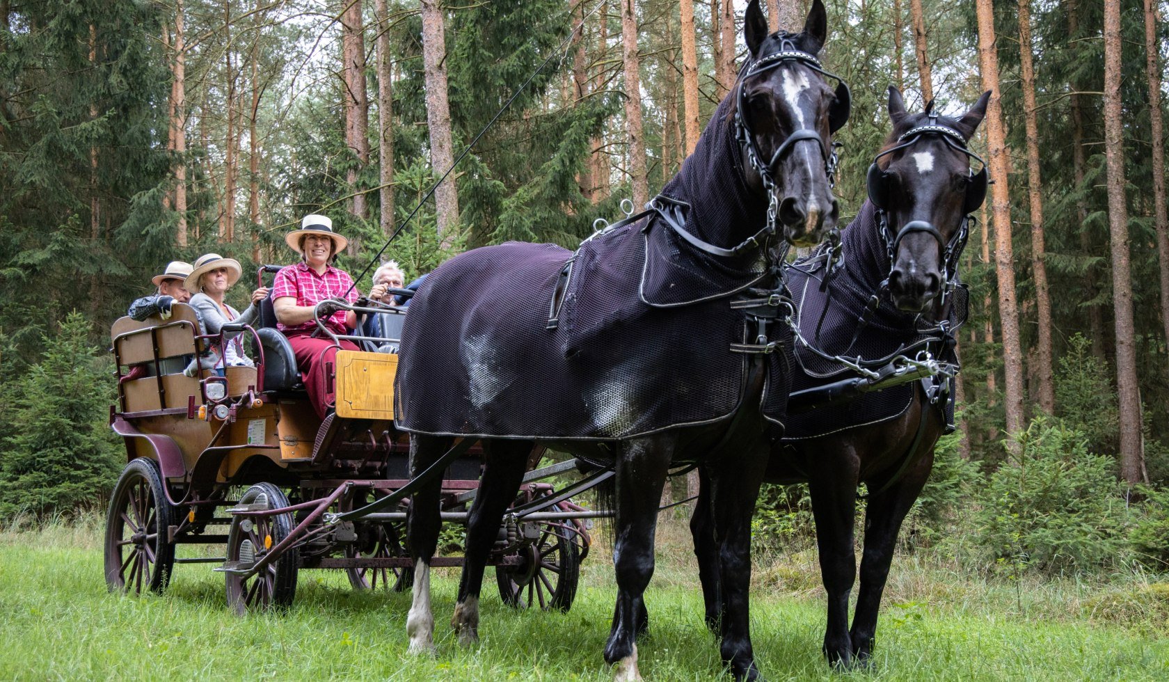 kutschfahrt_traumzeithof-wasserwelten_ccbysa_tl_20190808_25, © Lüneburger Heide GmbH
