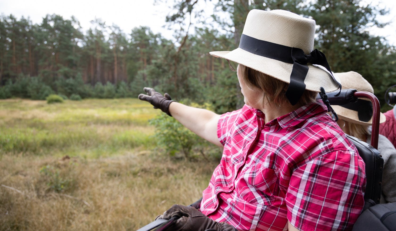 kutschfahrt_traumzeithof-wasserwelten_ccbysa_tl_20190808_44, © Lüneburger Heide GmbH