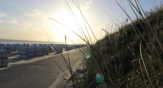 Dune grass at sunrise, © Kurverwaltung Wangerooge