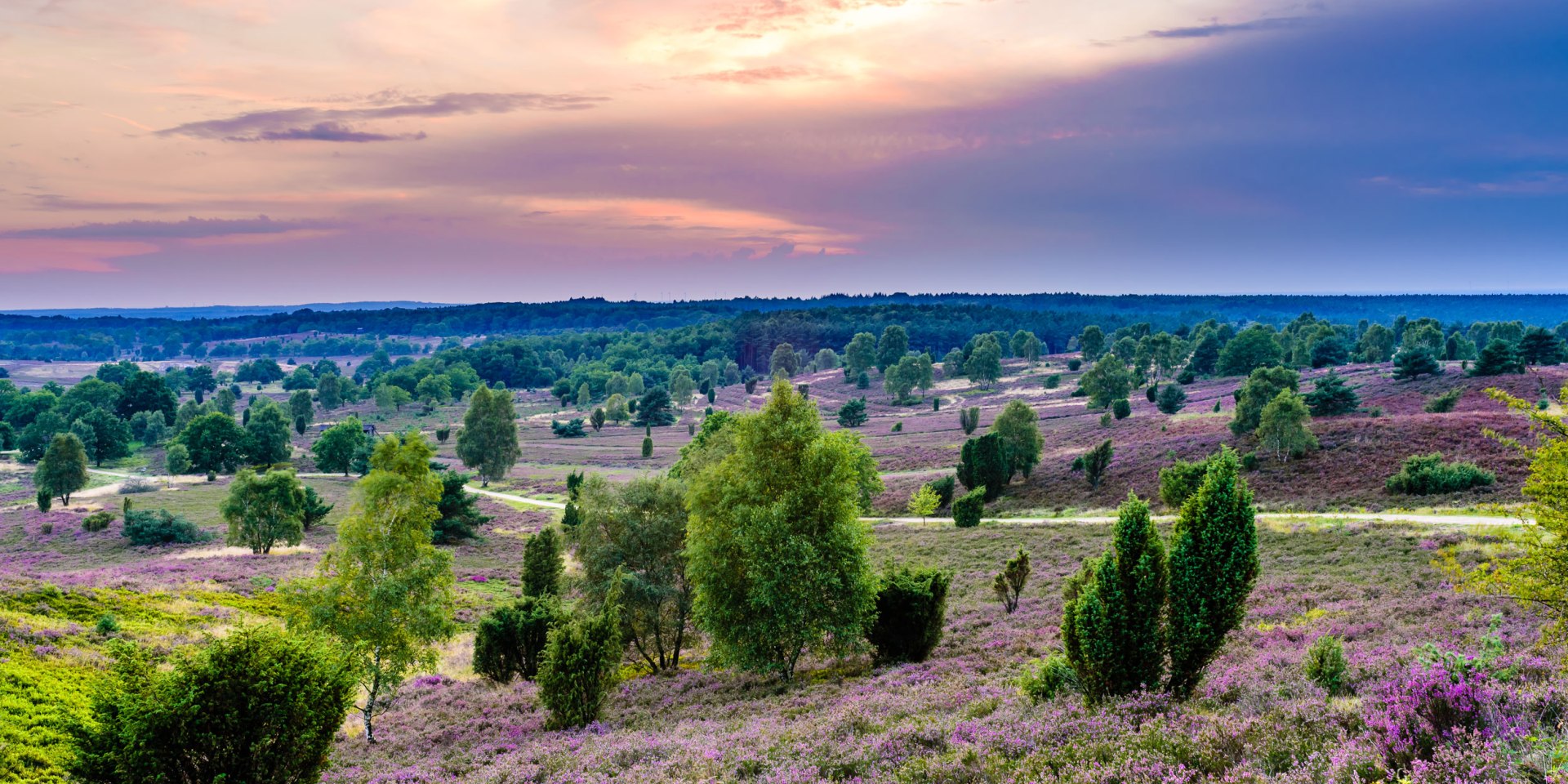 Lüneburger Heide, © Martiem Fotografie Lüneburg, Heidekreis Lüneburger Heide/ Markus Tiemann
