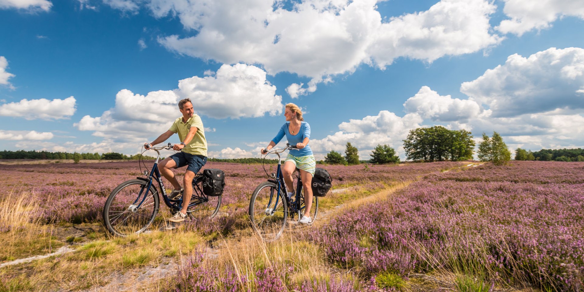 N36-Lüneburg Heath -Cyclist, © Lüneburger Heide GmbH/ Dominik Ketz