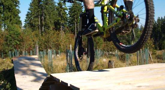Driver on a wooden ramp in the Bikepark St. Andreasberg, © www.msb-x-trail.de Driver on a wooden ramp in the Bikepark St. Andreasberg, © www.msb-x-trail.de