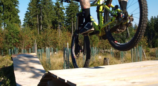 Driver on a wooden ramp in the Bikepark St. Andreasberg, © www.msb-x-trail.de