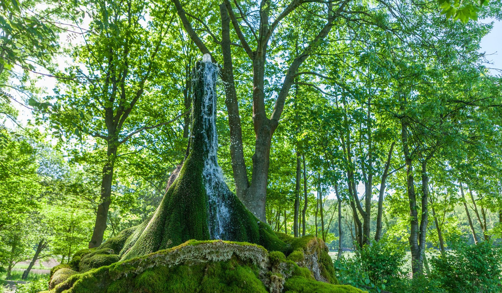 Wasserbaum, © Tourismuszentrale östliches Weserbergland