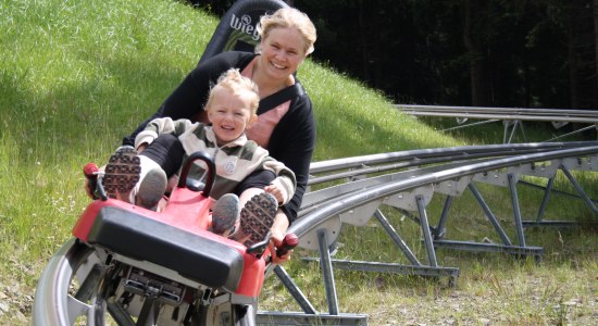 Summer toboggan run, © ErlebnisBocksBerg Hahnenklee GmbH & Co. KG