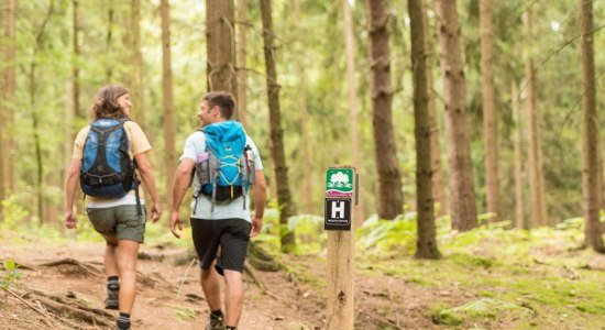 Hiker on forest stage of the Heidschnuckenweg, © Lüneburger Heide GmbH / Dominik Ketz
