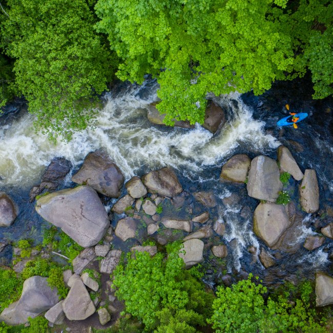 Harz Mountains, © TMN/Michael Neumann 