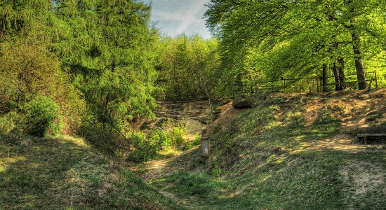 View into the Markmorgen adventure quarry with early evening lighting, © NP Elm-Lappwald / Jürgen Kattenstroth