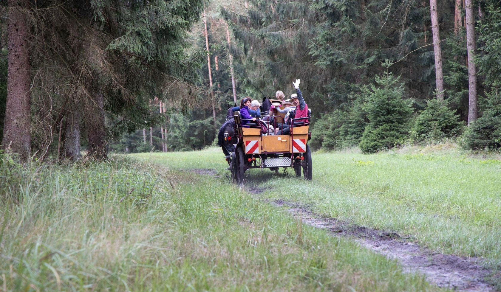 kutschfahrt_traumzeithof-wasserwelten_ccbysa_tl_20190808_23, © Lüneburger Heide GmbH