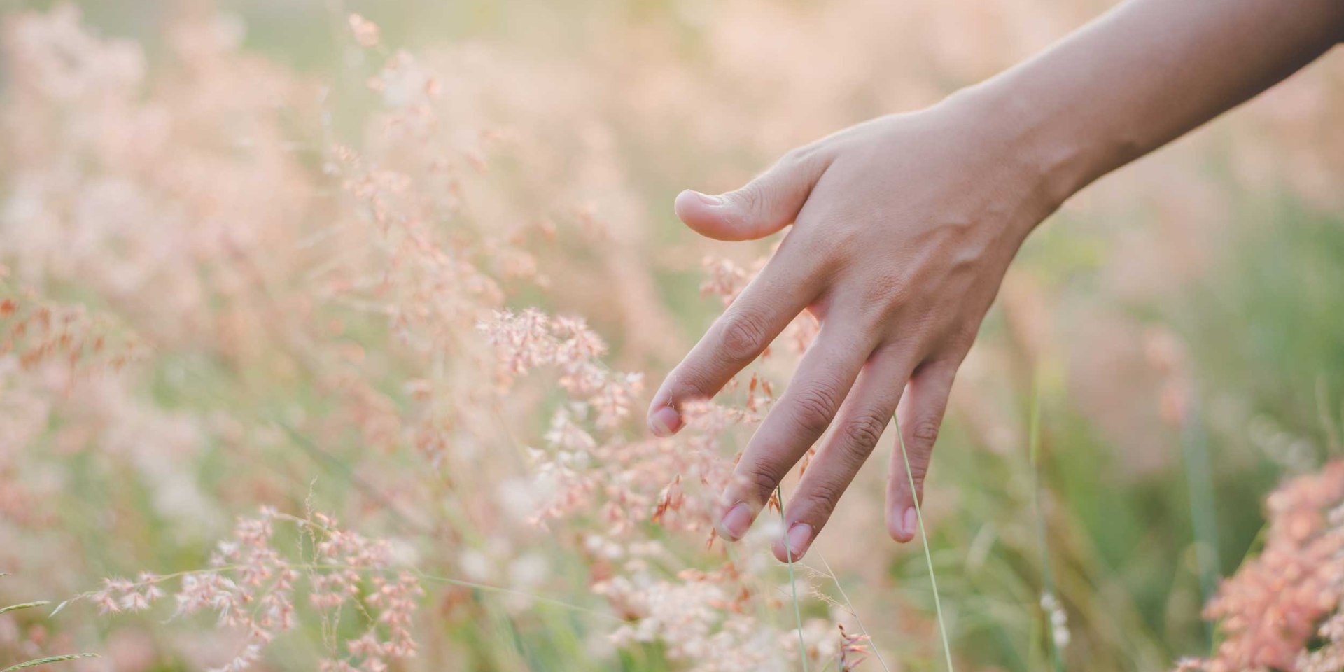 Hand touches grass in the field, © Fotolia.com /jcomp