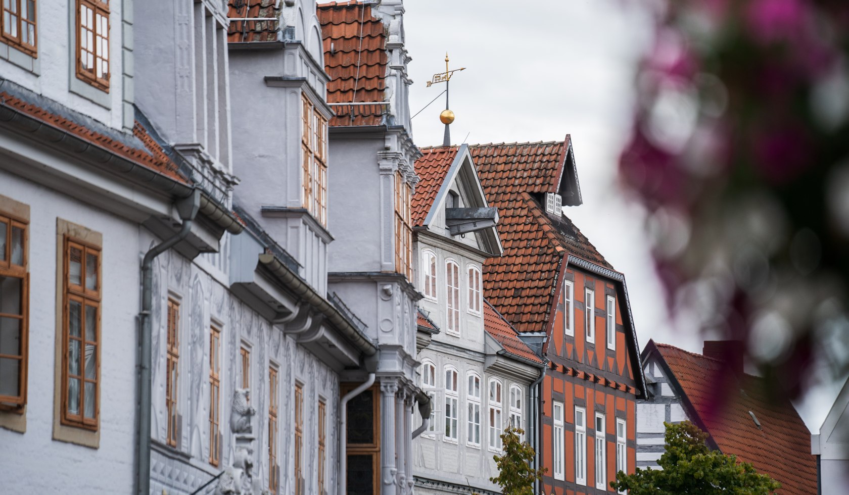 Facade of houses in Celle, © TourismusMarketing Niedersachsen GmbH 