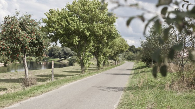 Aller-Radweg bei Bosse, © Tourismusregion Aller-Leine-Tal / Mirko Krenzel Aller-Radweg bei Bosse, © Tourismusregion Aller-Leine-Tal / Mirko Krenzel