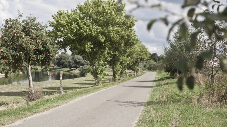 Aller-Radweg bei Bosse, © Tourismusregion Aller-Leine-Tal / Mirko Krenzel