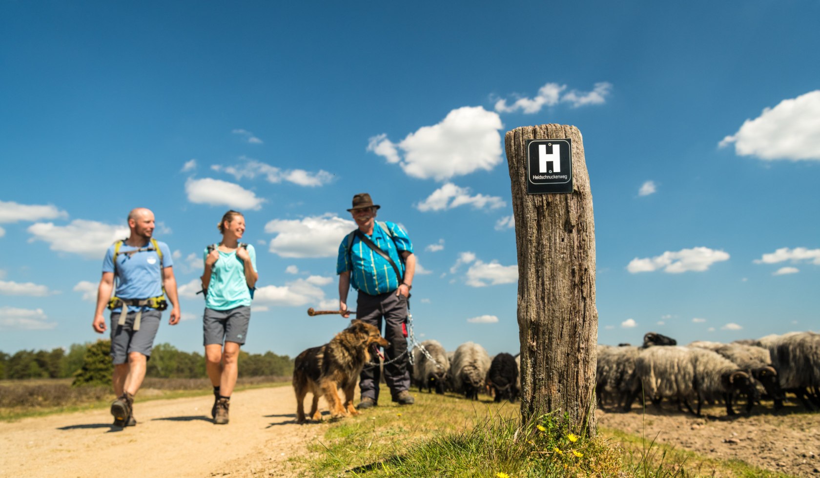 Hikers meet a shepherd in the Lüneburger Heide , © Lüneburger Heide GmbH