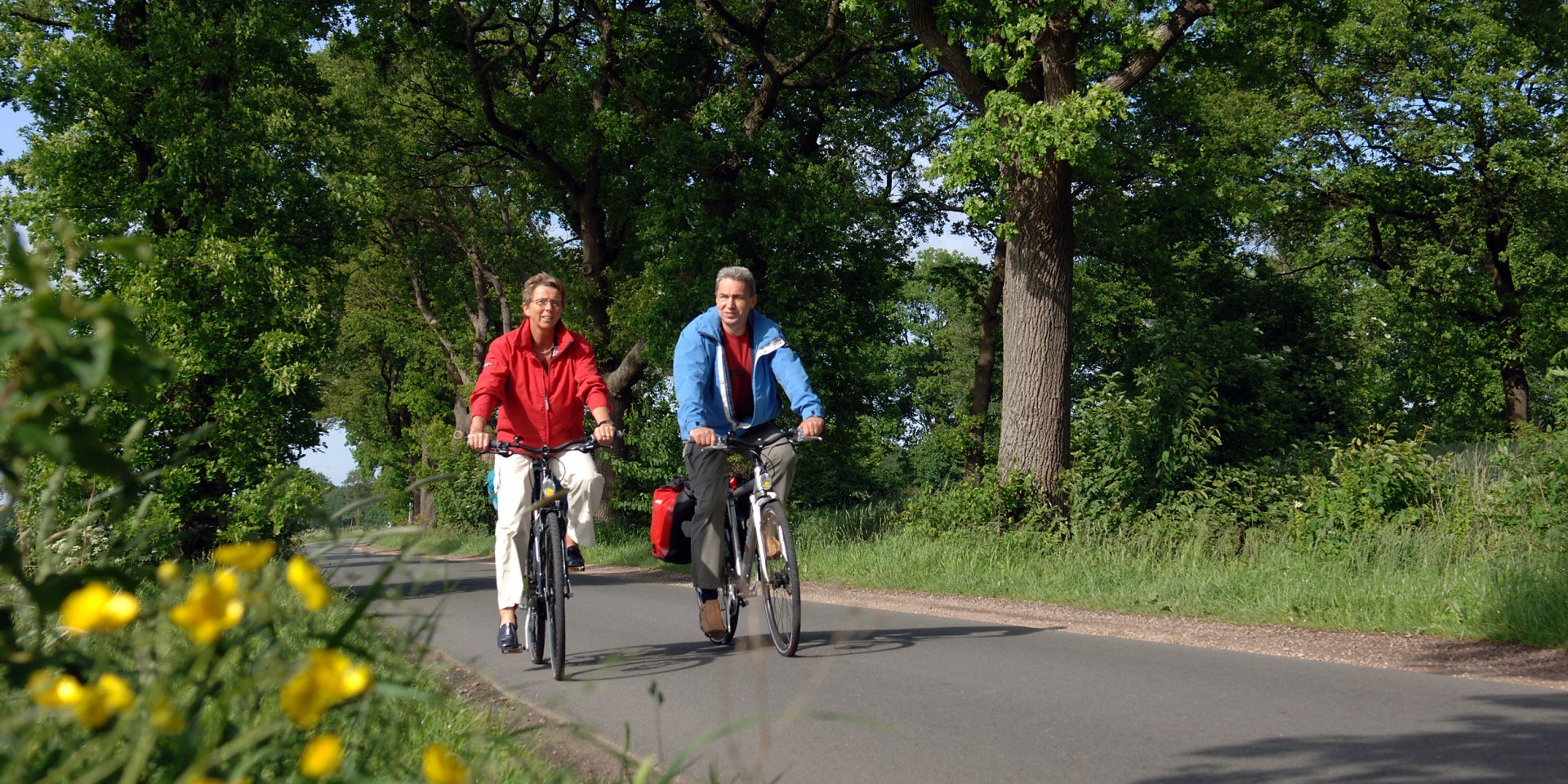 Cyling on the avenue, © Ammerland-Touristik / Tobias Trapp