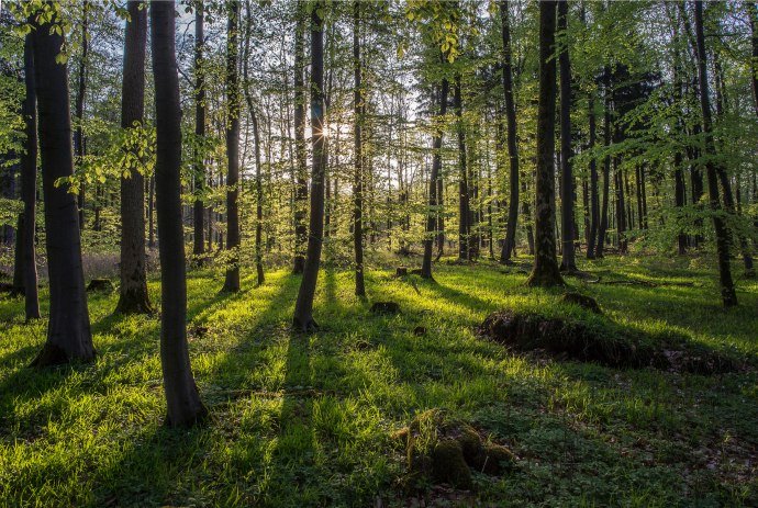 Im Naturpark Weserbergland, © Touristikzentrum Westliches Weserbergland / Kurt Gilde