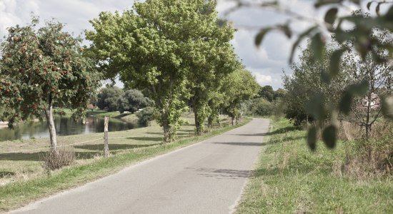 Aller-Radweg bei Bosse, © Tourismusregion Aller-Leine-Tal / Mirko Krenzel