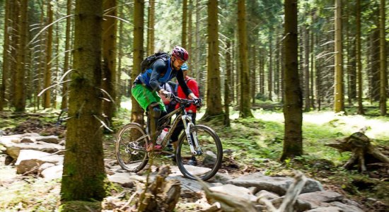 Mountain biker ride over a difficult track in the Hahnenklee Bike Park, © Board 'n Bikes