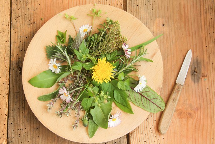 plate with herbs, © AdobeStock