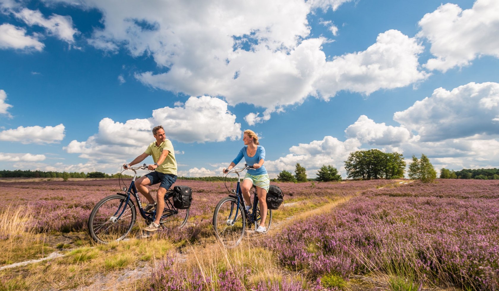 Cyclists in the Lüneburger Heide, © Lüneburger Heide GmbH/Dominik Ketz