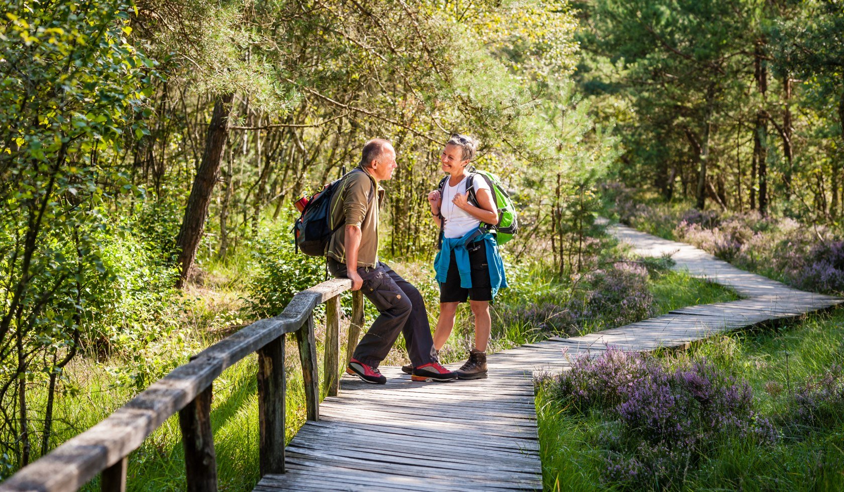 hiker in the Pietzmoor, © Erlebniswelt LÜneburger Heide GmbH / Markus Tiemann