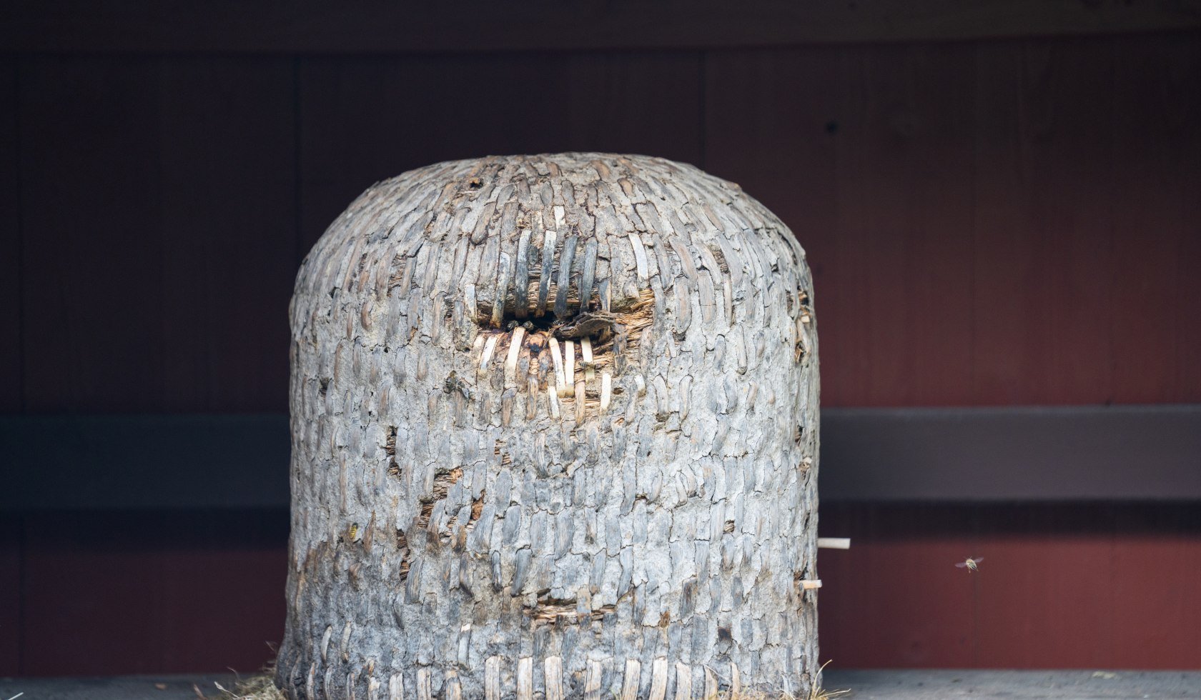 Beehive in the French garden Celle, © TourismusMarketing Niedersachsen GmbH 