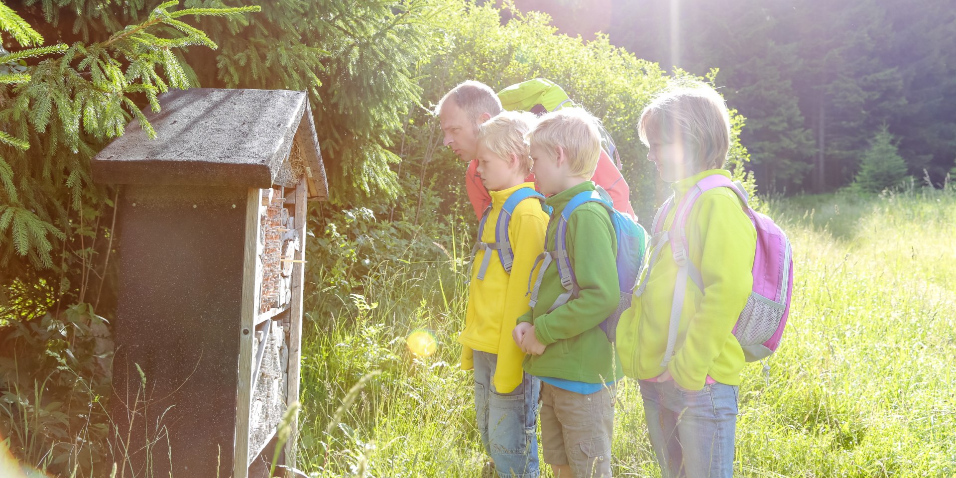 Hiking Harz, © Stadtmarketing Bad Harzburg