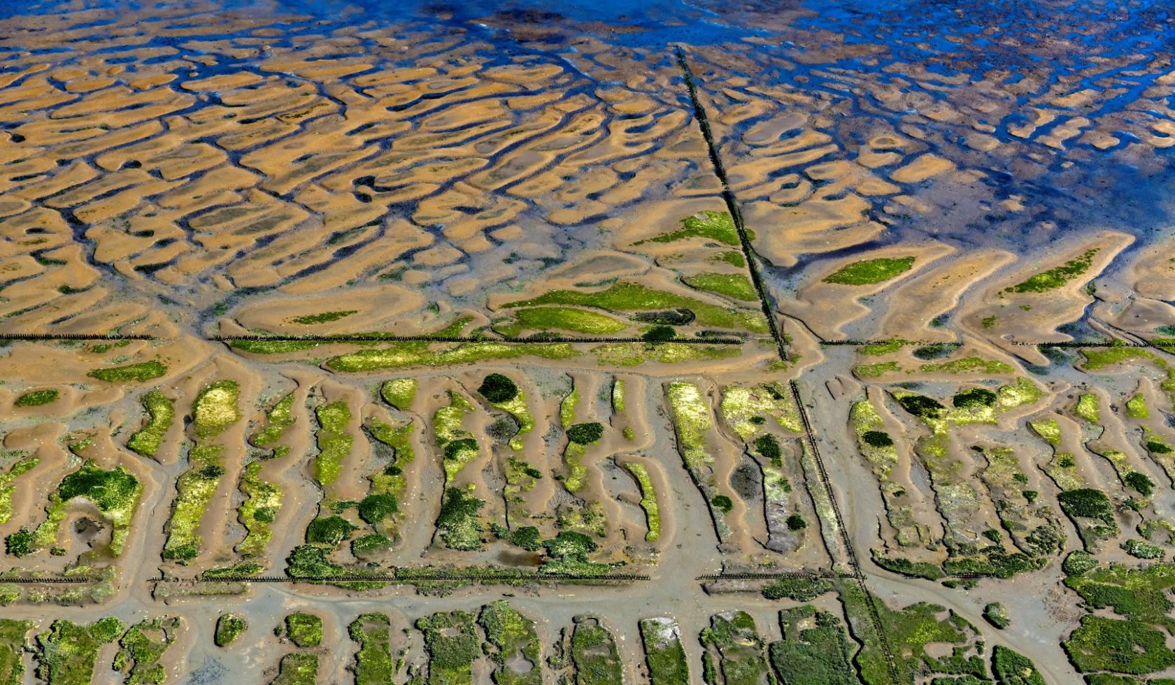 Langeoog salt marshes aerial photo, © Martin Elsen