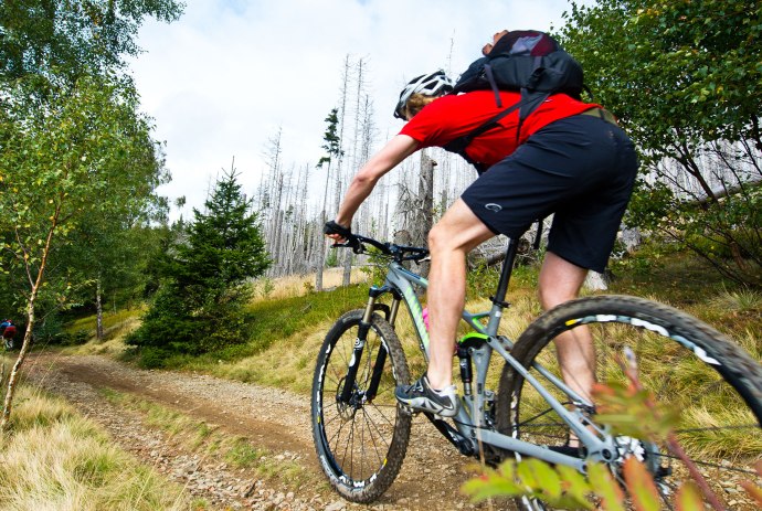 Mountain biker on an ascent in the Harz, © TMN/Maruba b.V. Sports Publishers