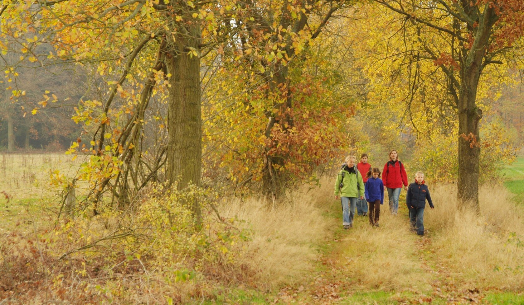 Bramwald, © naturpark münden / Sandra Gerlicher
