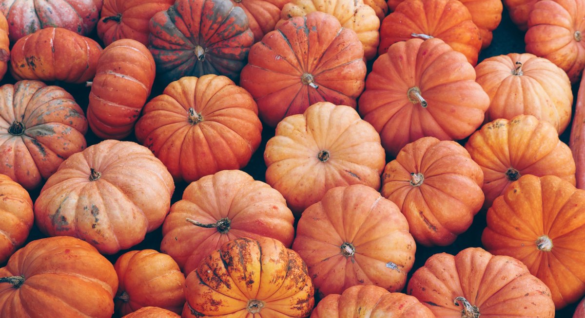 Pumkins, © Pixabay | Jens