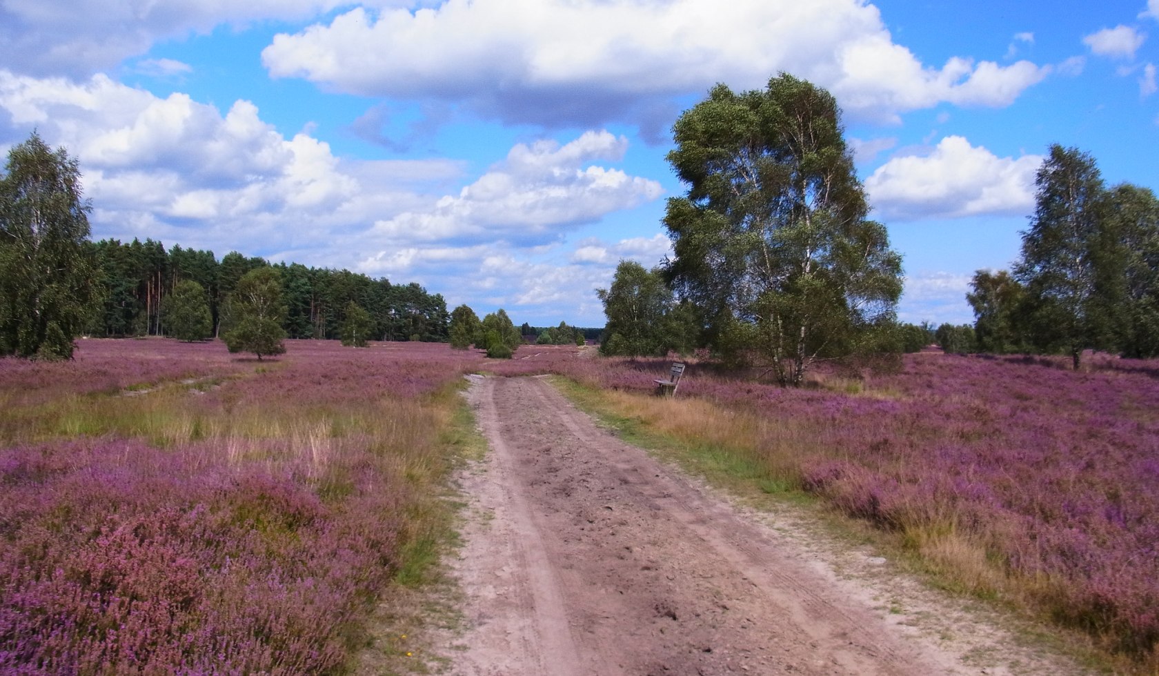 Naturpark Lüneburger Heide, © Naturpark Lüneburger Heide