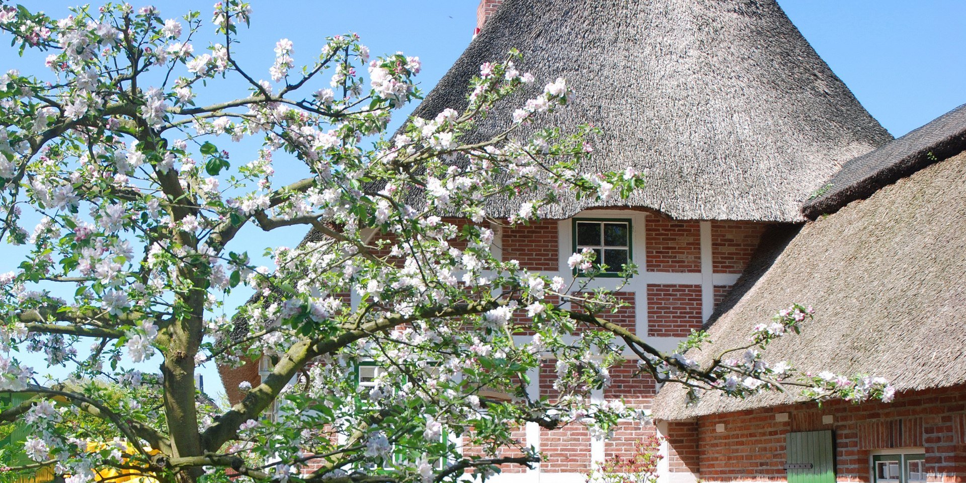 Thatched house in Cuxland, © Cuxland-Tourismus / Bernd Schlüsselburg