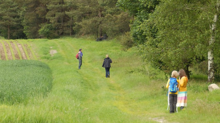 Hiking, © Touristikverband Landkreis Rotenburg (Wümme)  e.V. / Udo Fischer