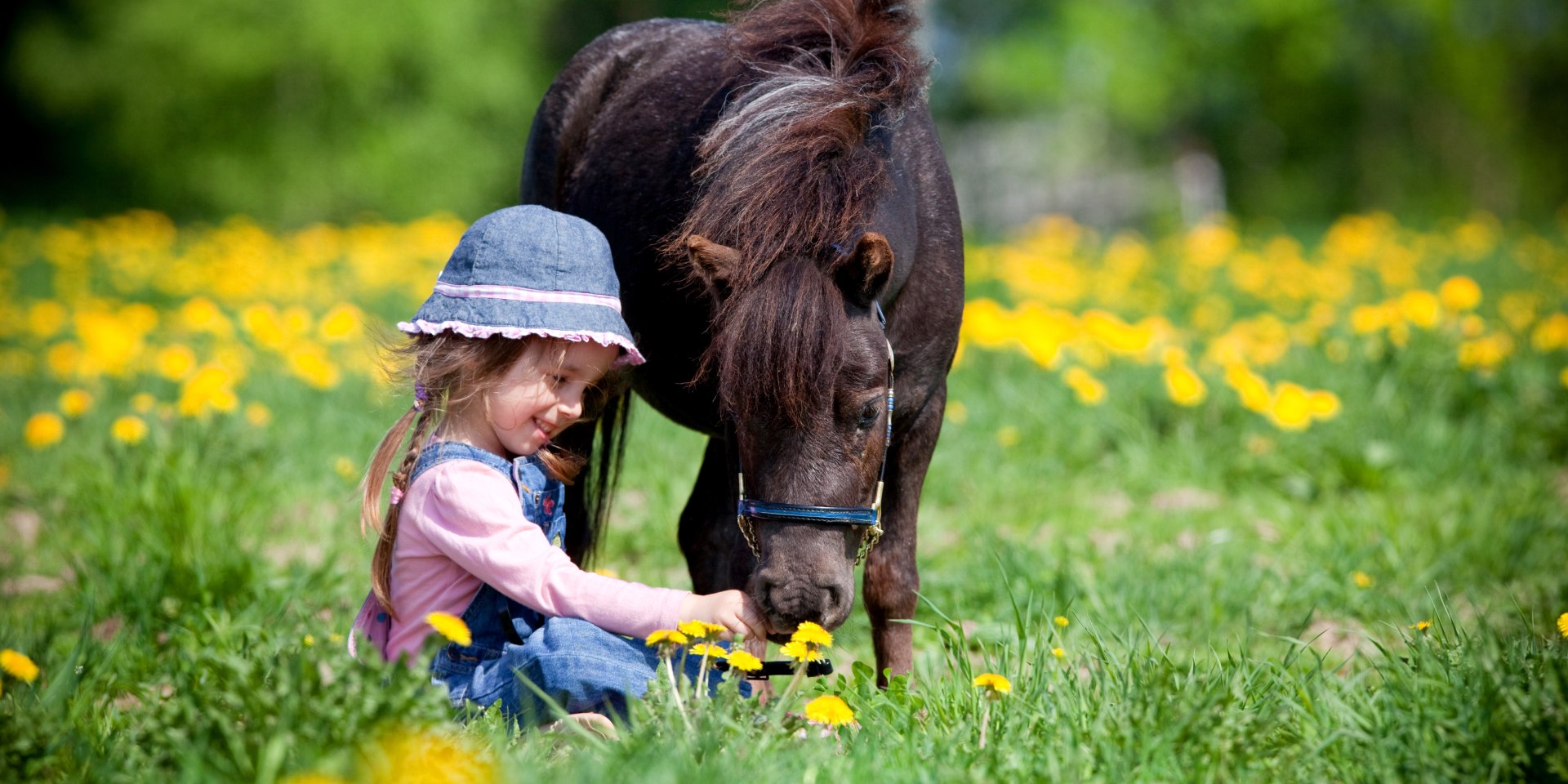 A girl is sitting on the grass and feeding a pony, © Fotolia/ Alexia Khruscheva