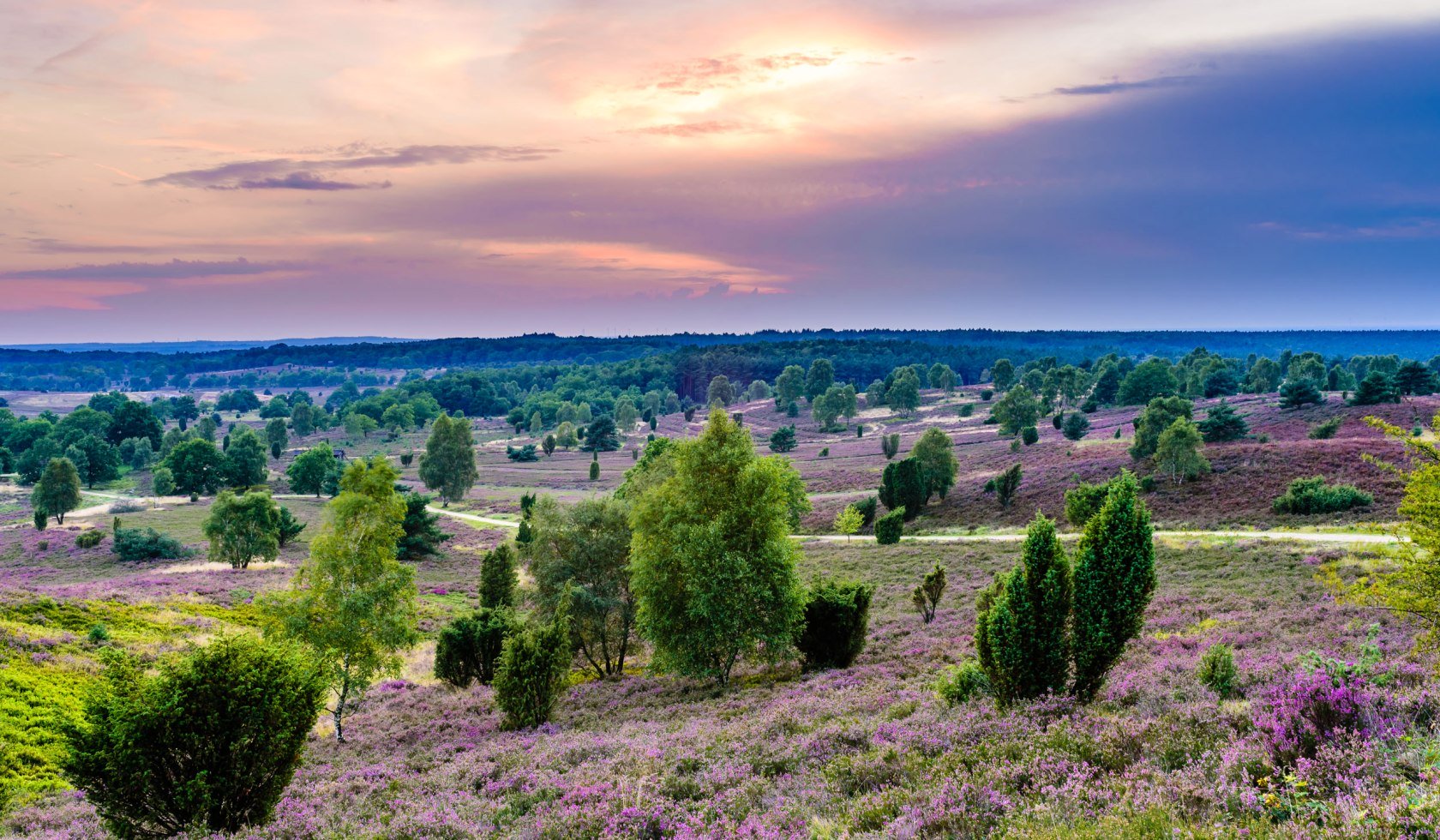 Lüneburger Heide, © Martiem Fotografie Lüneburg, Heidekreis Lüneburger Heide/ Markus Tiemann