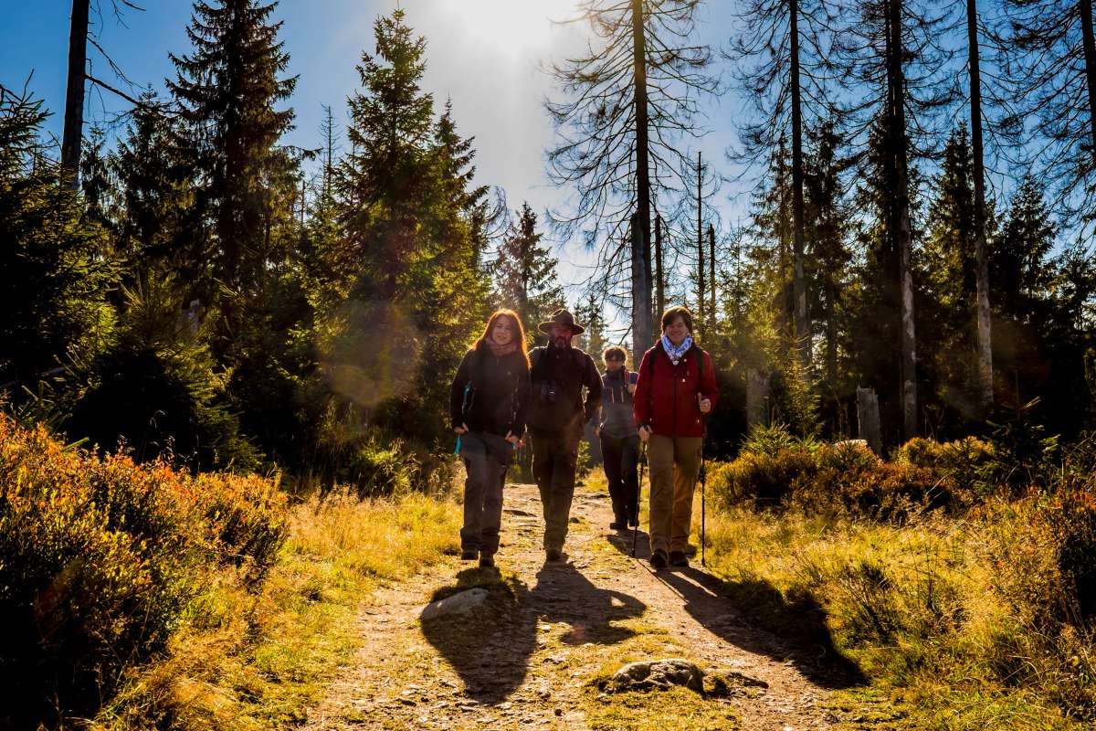 Ranger guided tour, © Nationalpark Harz / dietrichkuehne.com