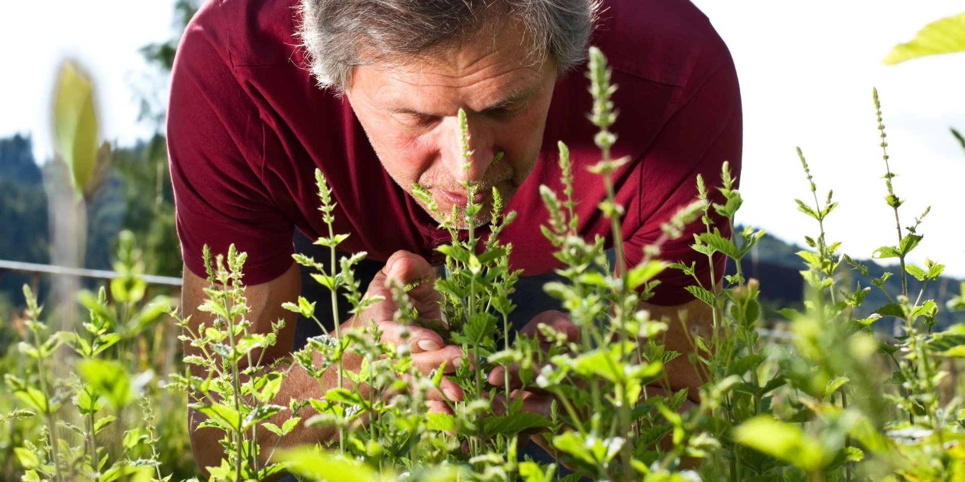 Herbs, © Fotolia / M.Dörr &amp; M.Frommherz