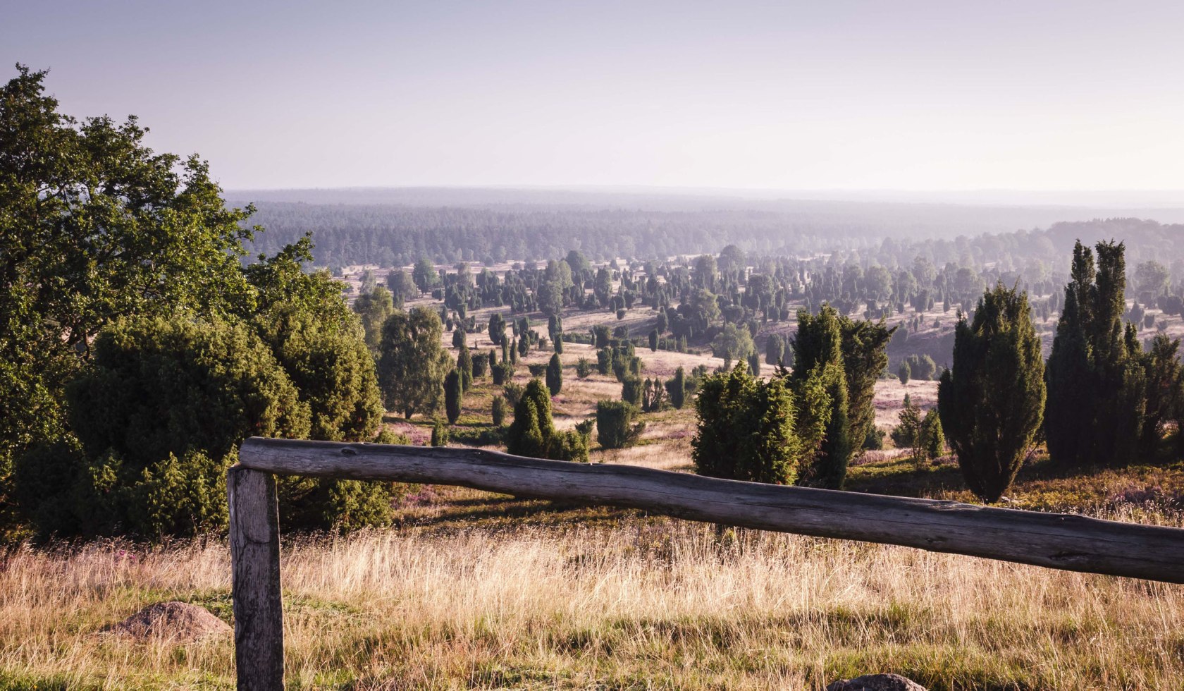 View from Wilseder Berg, © Lüneburger Heide GmbH/ Markus Tiemann