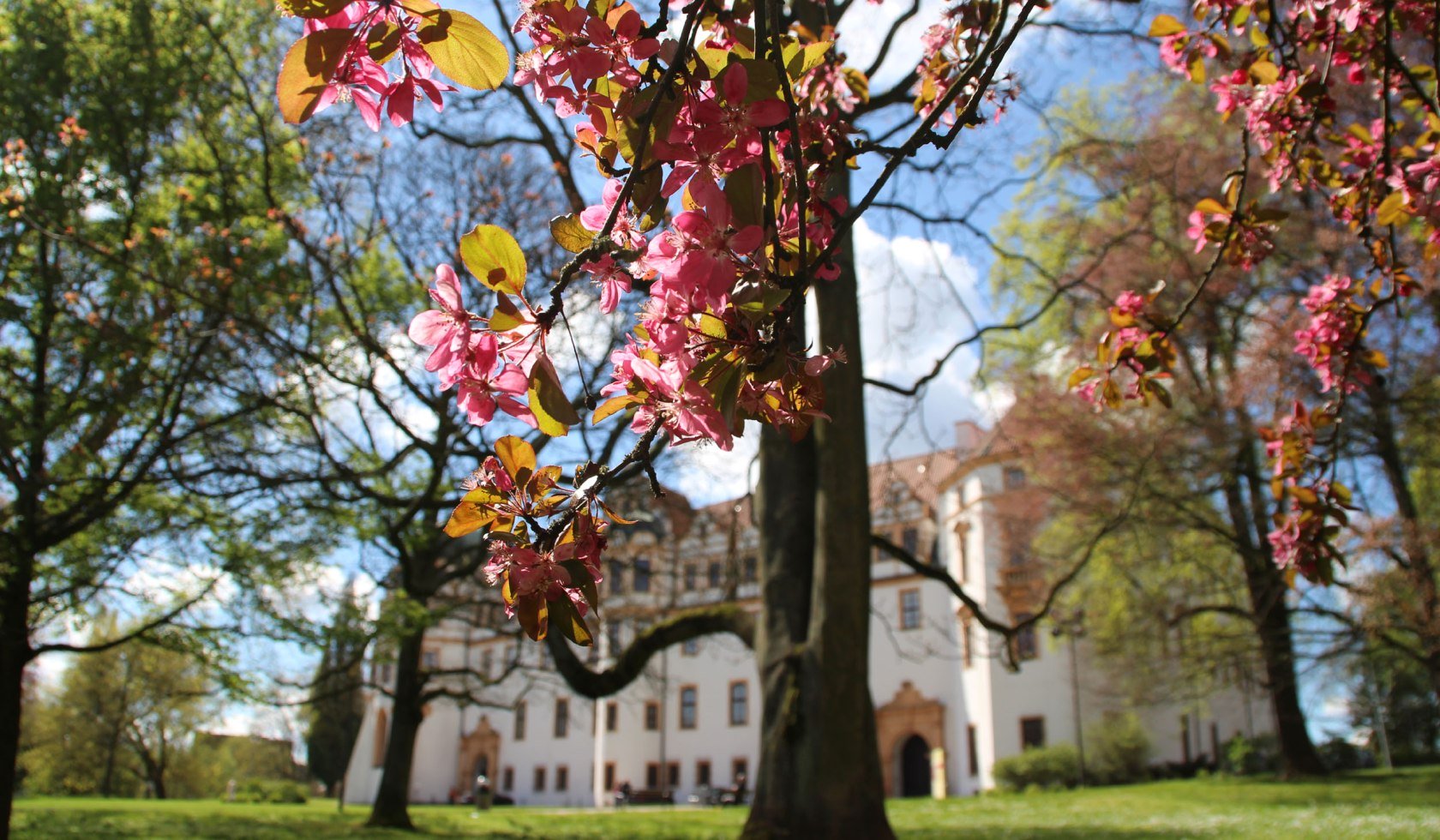 Celle Schloss, © Celle Tourismus und Marketing GmbH/ K. Behre