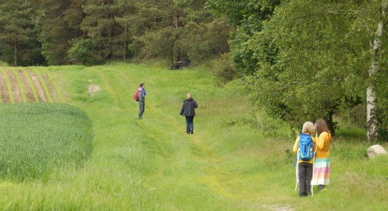 Hiking, © Touristikverband Landkreis Rotenburg (Wümme)  e.V. / Udo Fischer