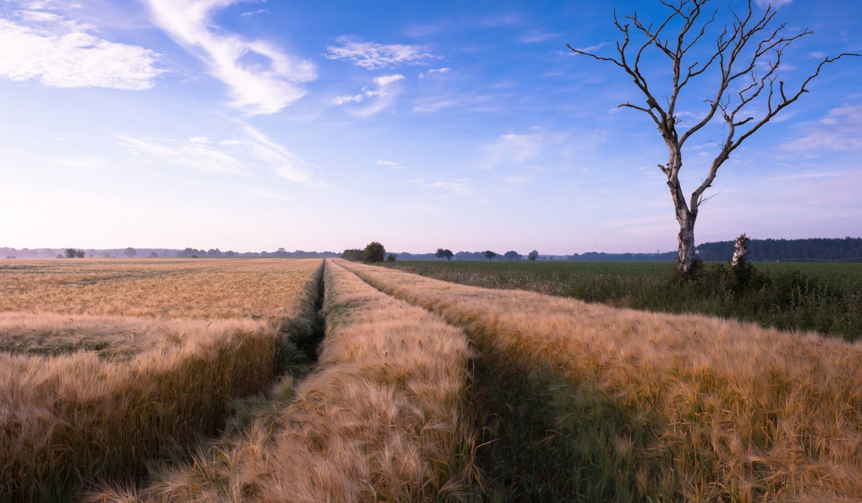 View over fields, © Lüneburger Heide GmbH/ Markus Tiemann