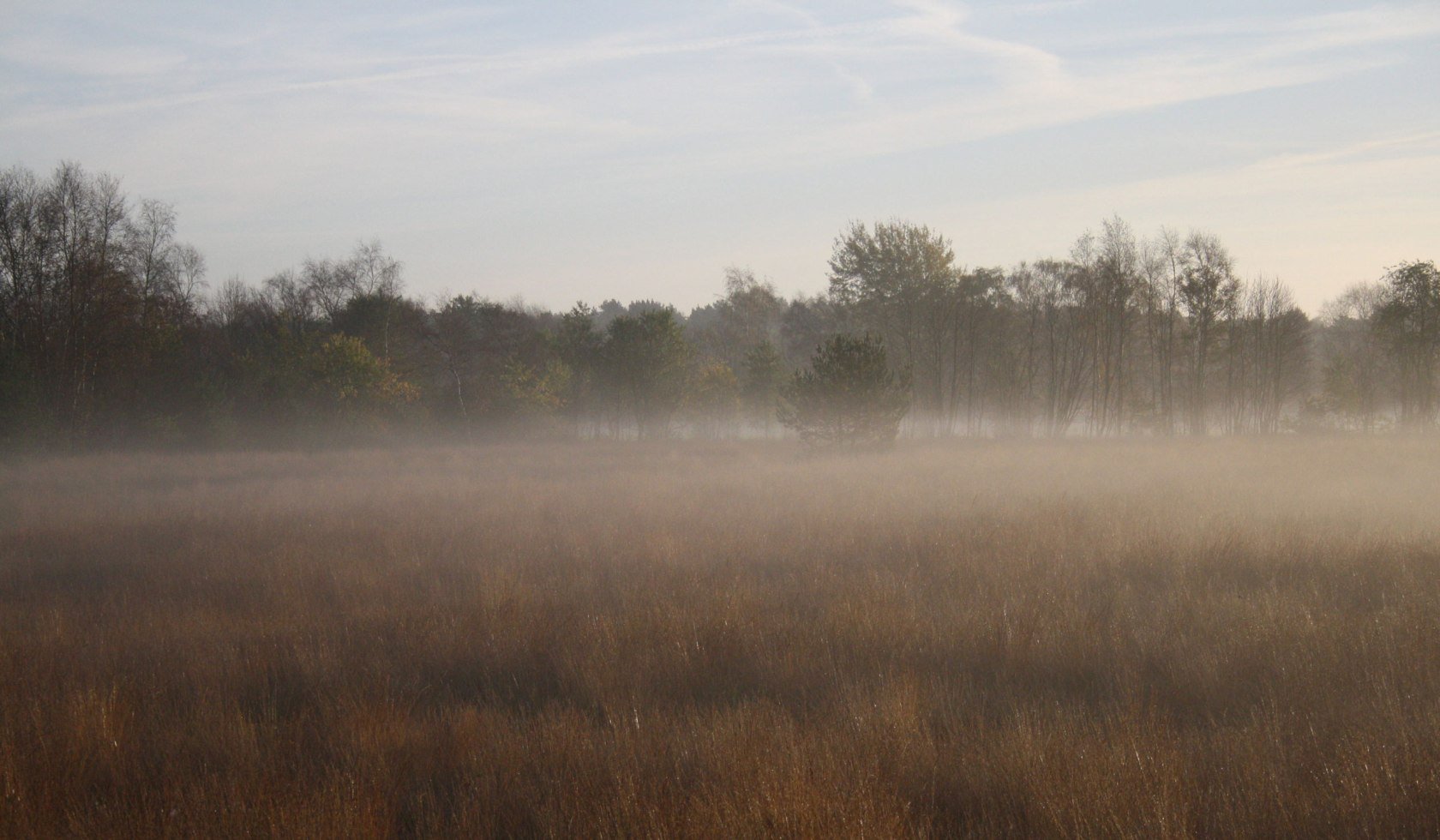 Fog, © DümmerWeserLand-Touristik / Hans-Heinrich Kellner